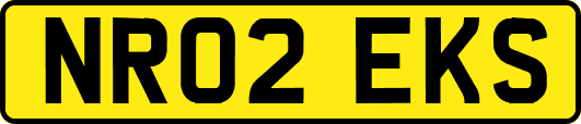 NR02EKS