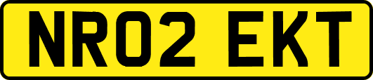 NR02EKT