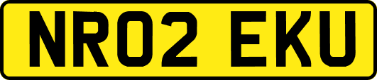 NR02EKU