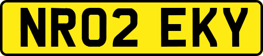 NR02EKY