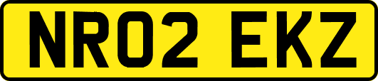 NR02EKZ