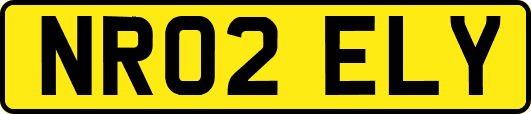 NR02ELY