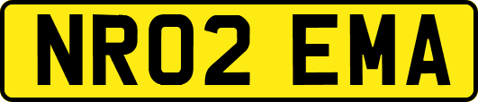 NR02EMA