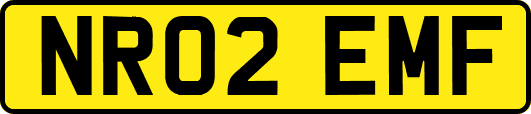 NR02EMF