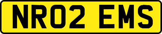 NR02EMS