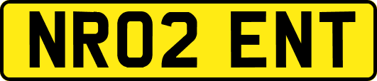 NR02ENT