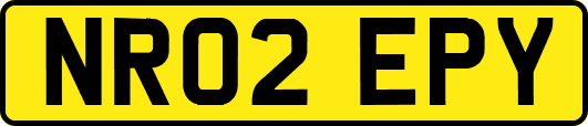 NR02EPY