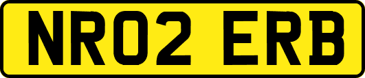 NR02ERB