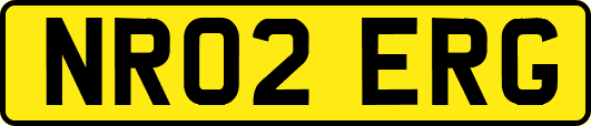 NR02ERG
