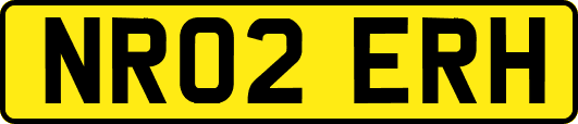 NR02ERH