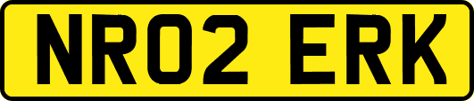 NR02ERK