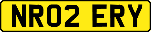 NR02ERY