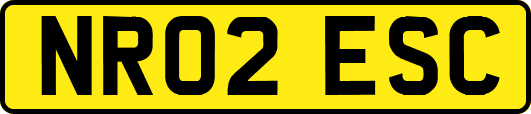 NR02ESC