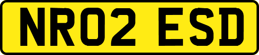 NR02ESD