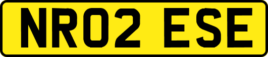 NR02ESE