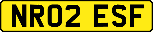 NR02ESF