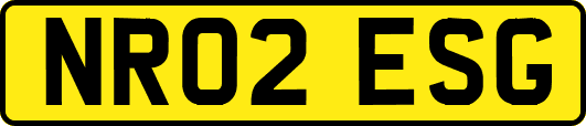 NR02ESG