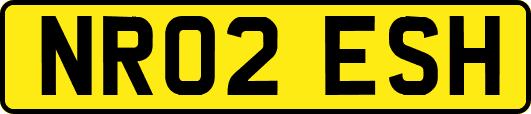 NR02ESH