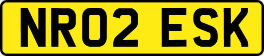 NR02ESK
