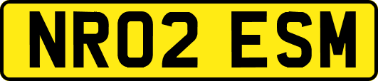 NR02ESM