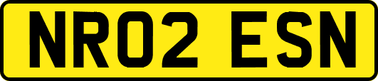 NR02ESN