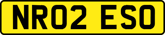 NR02ESO