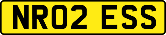 NR02ESS