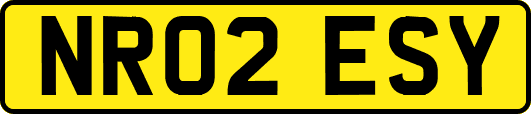NR02ESY