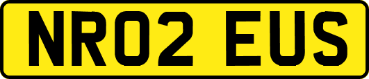 NR02EUS