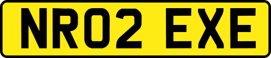 NR02EXE