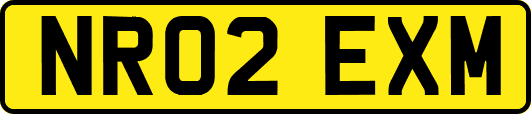 NR02EXM