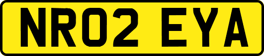 NR02EYA