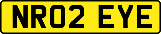 NR02EYE