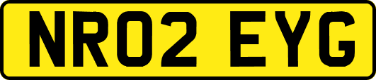 NR02EYG