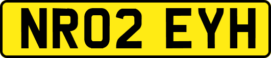 NR02EYH