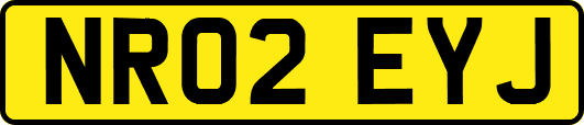 NR02EYJ