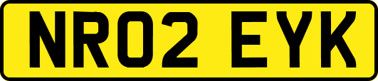 NR02EYK