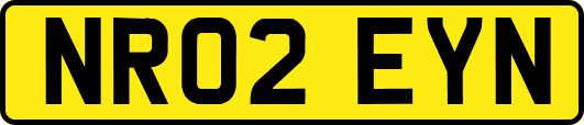 NR02EYN