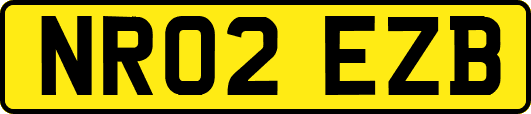 NR02EZB