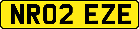 NR02EZE