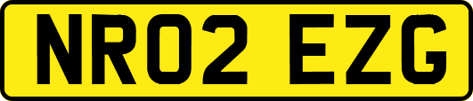 NR02EZG