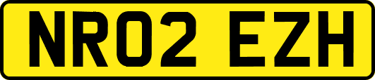 NR02EZH