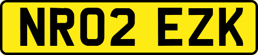 NR02EZK