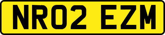 NR02EZM