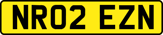 NR02EZN