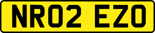NR02EZO
