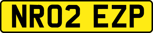 NR02EZP