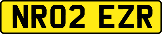 NR02EZR