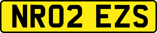 NR02EZS