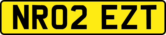 NR02EZT
